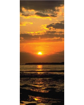 Вертикальный коллагенарий "C2"