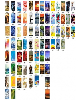 Вертикальный коллагенарий "C1"